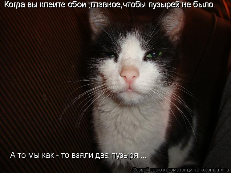 Когда вы клеите обои ,главное,чтобы пузырей не было. Когда вы клеите обои ,главное,чтобы пузырей не б... Котоматрица: Когда вы клеите обои ,главное,чтобы пузырей не было. Когда вы клеите обои ,главное,чтобы пузырей не было. А то мы как - то взяли два пузыря....