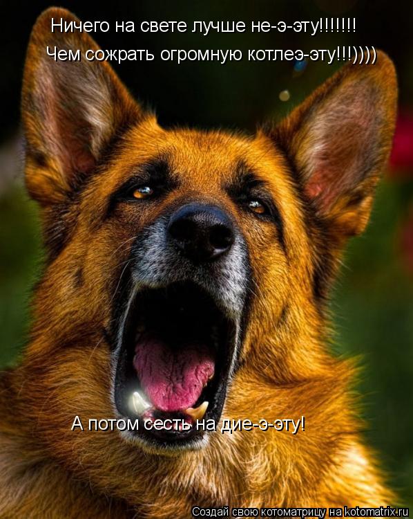 Котоматрица: Ничего на свете лучше не-э-эту!!!!!!! Чем сожрать огромную котлеэ-эту!!!)))) А потом сесть на дие-э-эту!