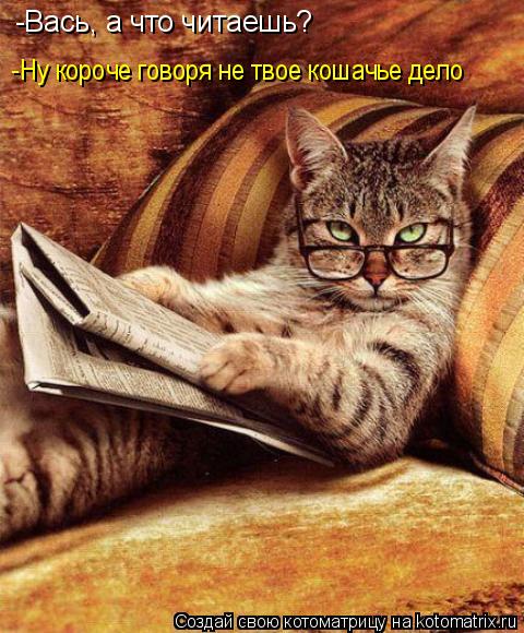 -Вась, а что читаешь? -Ну короче говоря не твое кошачье дело... Котоматрица: -Вась, а что читаешь? -Ну короче говоря не твое кошачье дело