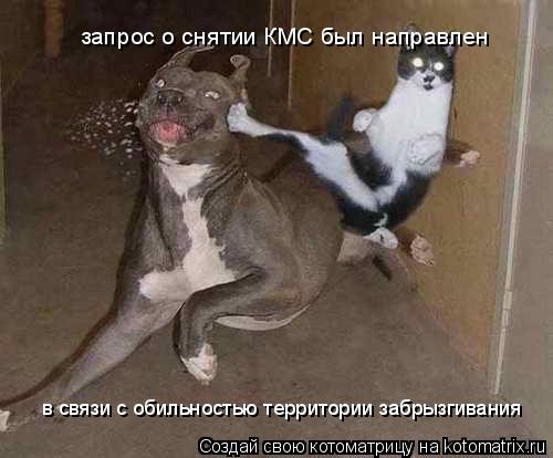 запрос о снятии КМС был направлен в связи с обильностью территории забрызгивания... Котоматрица: запрос о снятии КМС был направлен в связи с обильностью территории забрызгивания