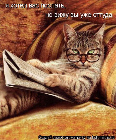 я хотел вас послать, но вижу вы уже оттуда... Котоматрица: я хотел вас послать, но вижу вы уже оттуда