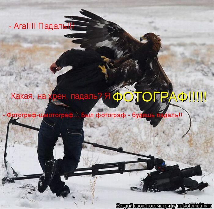 - Ага!!!! Падаль!!! Какая, на хрен, падаль? Я ФОТОГРАФ!!!!! - Фотограф-шмотограф... Был фотограф - б... Котоматрица: - Ага!!!! Падаль!!! Какая, на хрен, падаль? Я ФОТОГРАФ!!!!! - Фотограф-шмотограф... Был фотограф - будешь падаль!!