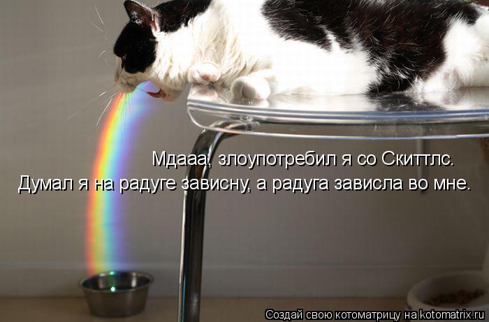 Мдааа, злоупотребил я со Скиттлс. Думал я на радуге зависну, а радуга зависла во мне.... Котоматрица: Мдааа, злоупотребил я со Скиттлс. Думал я на радуге зависну, а радуга зависла во мне.