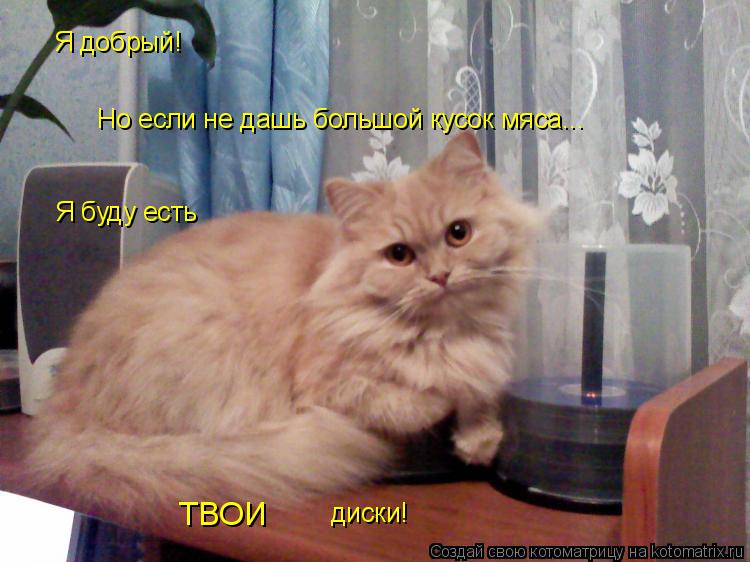 Я добрый! Но если не дашь большой кусок мяса... Я буду есть ТВОИ диски!... Котоматрица: Я добрый! Но если не дашь большой кусок мяса... Я буду есть ТВОИ диски!