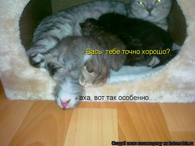 - Вась, тебе точно хорошо? - аха, вот так особенно....... Котоматрица: - Вась, тебе точно хорошо? - аха, вот так особенно....