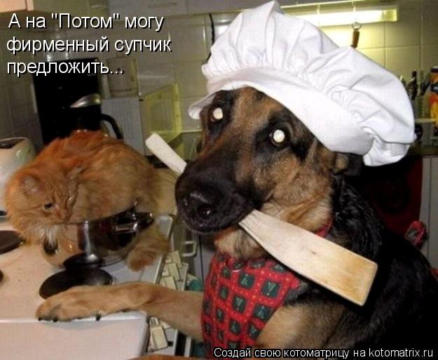 А на "Потом" могу фирменный супчик предложить...... Котоматрица: А на "Потом" могу фирменный супчик предложить...