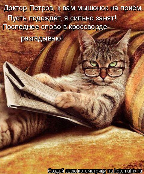 Доктор Петров, к вам мышонок на приём... Пусть подождёт, я сильно занят! Последнее слово в кроссворде... Котоматрица: Доктор Петров, к вам мышонок на приём... Пусть подождёт, я сильно занят! Последнее слово в кроссворде разгадываю!