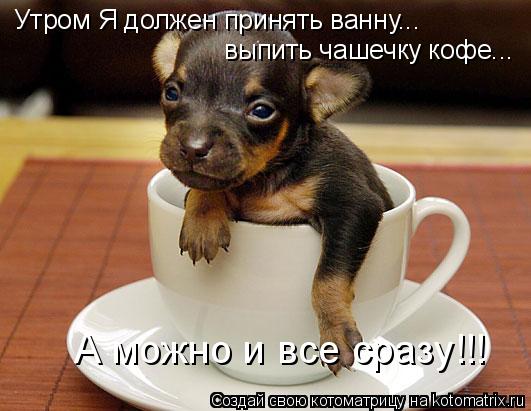 Утром Я должен принять ванну... выпить чашечку кофе... А можно и все сразу!!!... Котоматрица: Утром Я должен принять ванну... выпить чашечку кофе... А можно и все сразу!!!