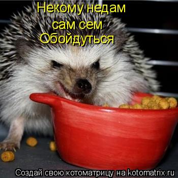 Некому недам сам сем Обойдуться... Котоматрица: Некому недам сам сем Обойдуться