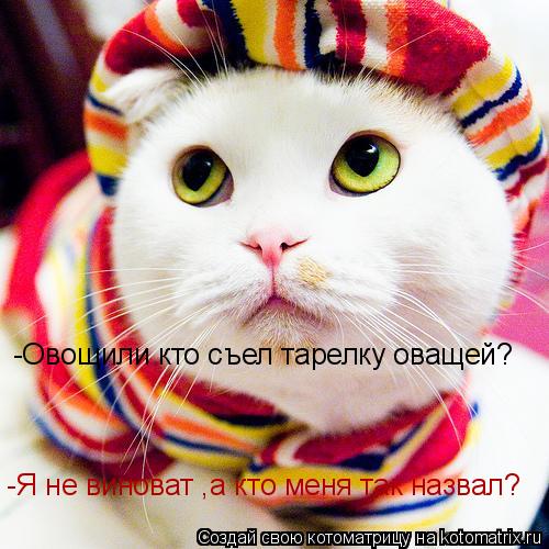 -Овощили кто съел тарелку оващей? -Я не виноват ,а кто меня так назвал?... Котоматрица: -Овощили кто съел тарелку оващей? -Я не виноват ,а кто меня так назвал?