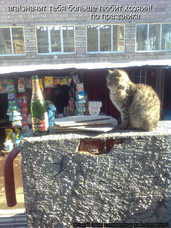 ага!значит тебя больше любит хозяин! по праздника...... Котоматрица: ага!значит тебя больше любит хозяин! по праздника...