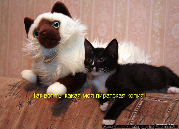 Так вот ты какая моя пиратская копия!... Котоматрица: Так вот ты какая моя пиратская копия!