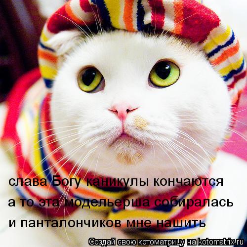 слава Богу каникулы кончаются а то эта модельерша собиралась и панталончиков мне нашить... Котоматрица: слава Богу каникулы кончаются а то эта модельерша собиралась и панталончиков мне нашить