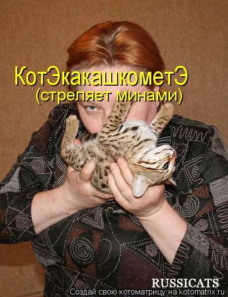 (стреляет минами) КотЭкакашкометЭ... Котоматрица: (стреляет минами) КотЭкакашкометЭ