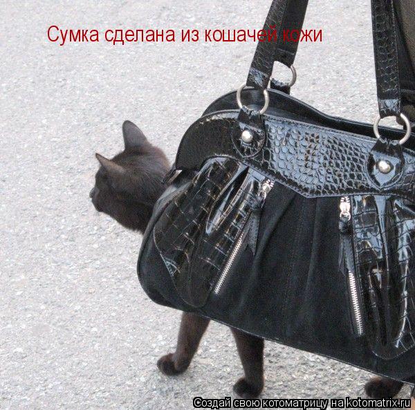 Сумка сделана из кошачей кожи... Котоматрица: Сумка сделана из кошачей кожи