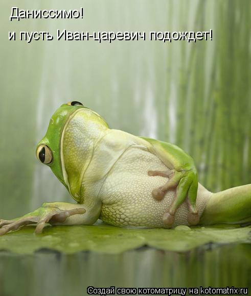 Даниссимо! и пусть Иван-царевич подождет!... Котоматрица: Даниссимо! и пусть Иван-царевич подождет!