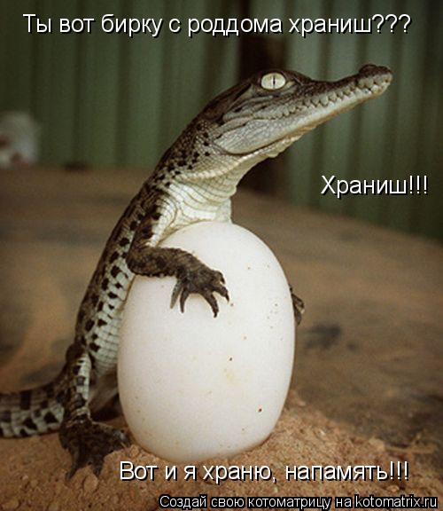 Ты вот бирку с роддома храниш??? Вот и я храню, напамять!!! Храниш!!!... Котоматрица: Ты вот бирку с роддома храниш??? Вот и я храню, напамять!!! Храниш!!!