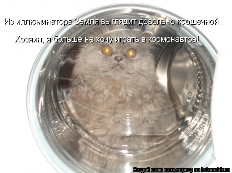 Из иллюминатора Земля выглядит довольно крошечной.. Хозяин, я больше не хочу играть в космонавтов!... Котоматрица: Из иллюминатора Земля выглядит довольно крошечной.. Хозяин, я больше не хочу играть в космонавтов!