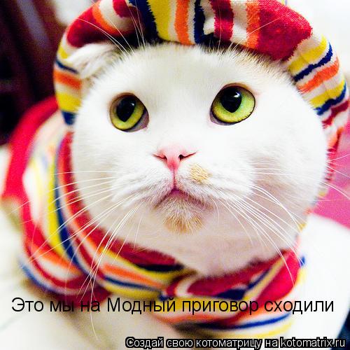Это мы на Модный приговор сходили... Котоматрица: Это мы на Модный приговор сходили