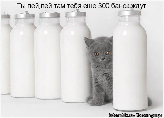 Ты пей,пей там тебя еще 300 банок ждут... Котоматрица: Ты пей,пей там тебя еще 300 банок ждут