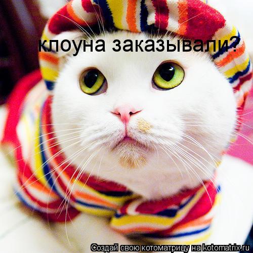 клоуна заказывали?... Котоматрица: клоуна заказывали?