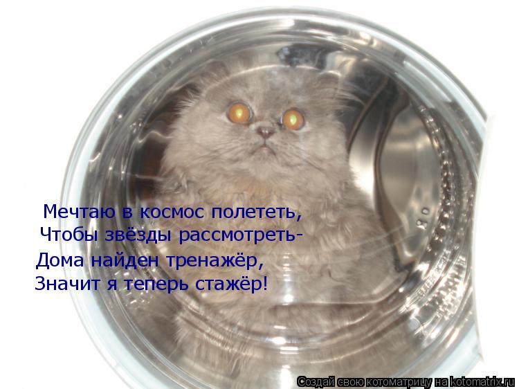 Мечтаю в космос полететь, Дома найден тренажёр, Чтобы звёзды рассмотреть- Значит я теперь стажёр!... Котоматрица: Мечтаю в космос полететь, Дома найден тренажёр, Чтобы звёзды рассмотреть- Значит я теперь стажёр!