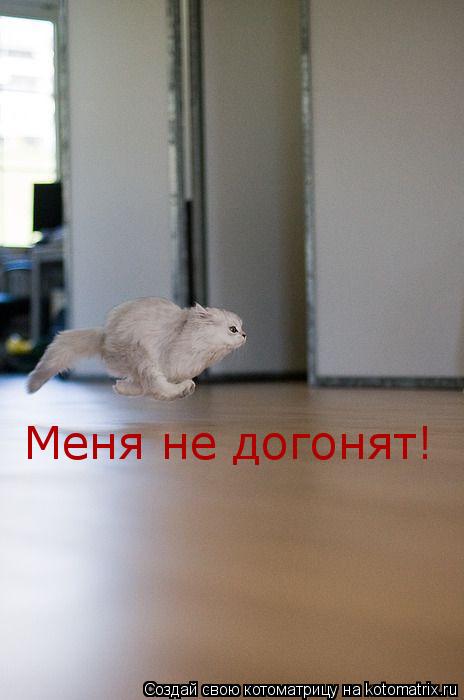 Меня не догонят!... Котоматрица: Меня не догонят!