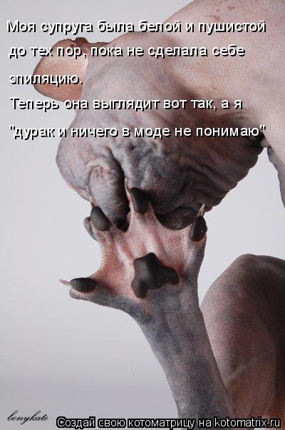 Моя супруга была белой и пушистой до тех пор, пока не сделала себе эпиляцию. Теперь она выглядит вот... Котоматрица: Моя супруга была белой и пушистой до тех пор, пока не сделала себе эпиляцию. Теперь она выглядит вот так, а я "дурак и ничего в моде не понима