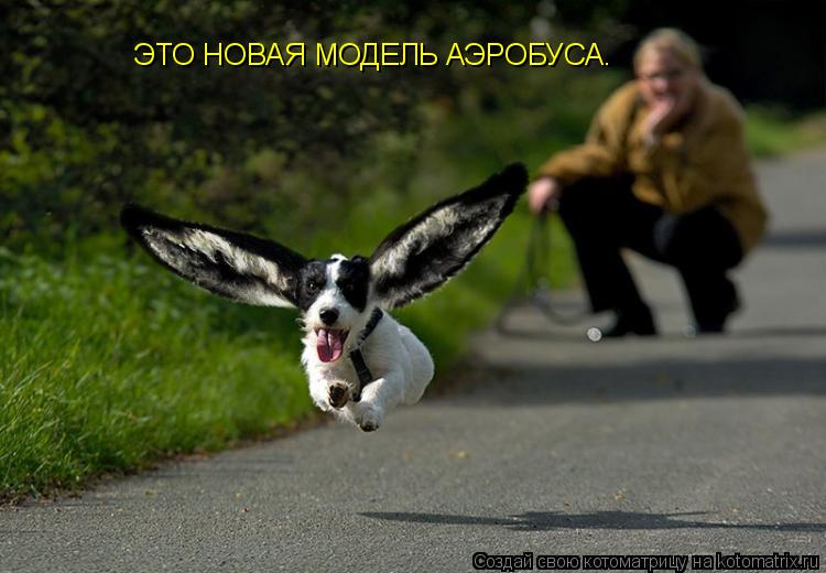 ЭТО НОВАЯ МОДЕЛЬ АЭРОБУСА.... Котоматрица: ЭТО НОВАЯ МОДЕЛЬ АЭРОБУСА.