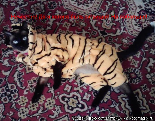 Нечестно! Да я хотела быть тигрицей! Но побольше!... Котоматрица: Нечестно! Да я хотела быть тигрицей! Но побольше!