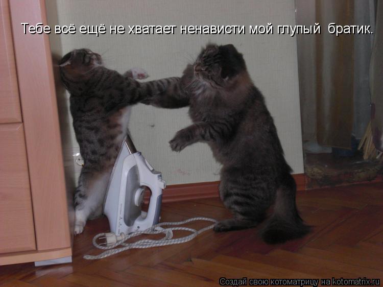 Тебе всё ещё не хватает ненависти мой глупый братик.... Котоматрица: Тебе всё ещё не хватает ненависти мой глупый братик.