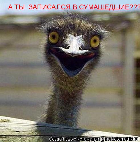 А ТЫ ЗАПИСАЛСЯ В СУМАШЕДШИЕ???... Котоматрица: А ТЫ ЗАПИСАЛСЯ В СУМАШЕДШИЕ???