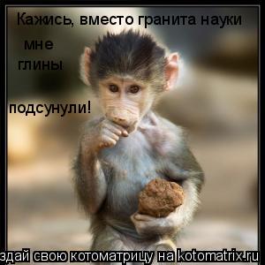 Кажись, вместо гранита науки мне глины подсунули!... Котоматрица: Кажись, вместо гранита науки мне глины подсунули!