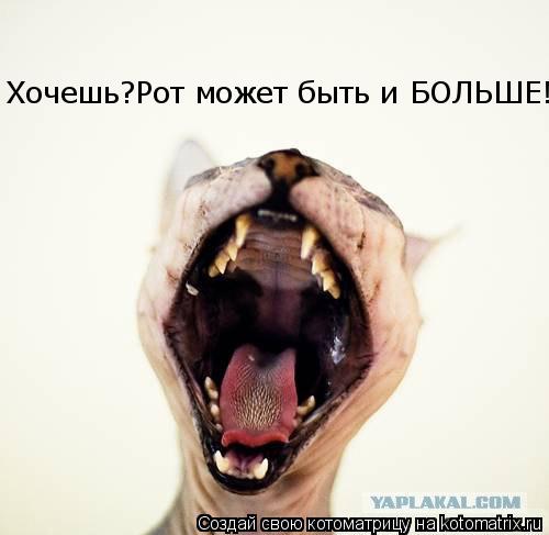 Хочешь?Рот может быть и БОЛЬШЕ!... Котоматрица: Хочешь?Рот может быть и БОЛЬШЕ!