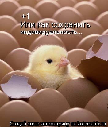+1 Или как сохранить индивидуальность...... Котоматрица: +1 Или как сохранить индивидуальность...