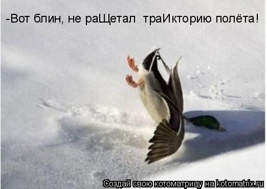 -Вот блин, не раЩетал траИкторию полёта!... Котоматрица: -Вот блин, не раЩетал траИкторию полёта!