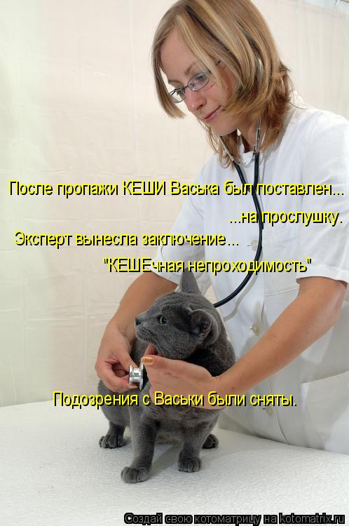 Котоматрица: После пропажи КЕШИ Васька был поставлен... ...на прослушку. Эксперт вынесла заключение... "КЕШЕчная непроходимость" Подозрения с Васьки были с