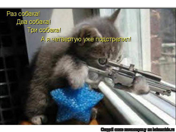 Раз собака! Два собака! Три собака! А я четвертую уже подстрелил!... Котоматрица: Раз собака! Два собака! Три собака! А я четвертую уже подстрелил!