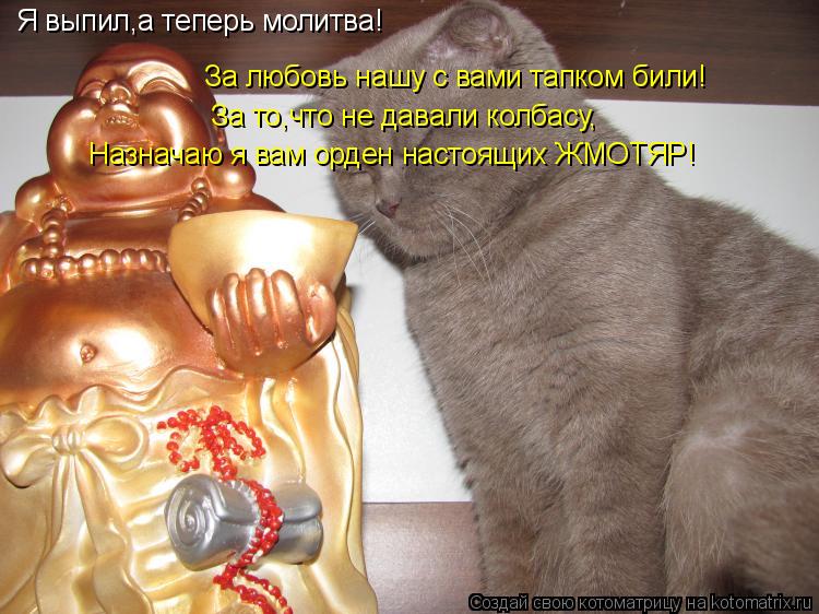 Я выпил,а теперь молитва! За любовь нашу с вами тапком били! За то,что не давали колбасу, Назначаю я ... Котоматрица: Я выпил,а теперь молитва! За любовь нашу с вами тапком били! За то,что не давали колбасу, Назначаю я вам орден настоящих ЖМОТЯР!