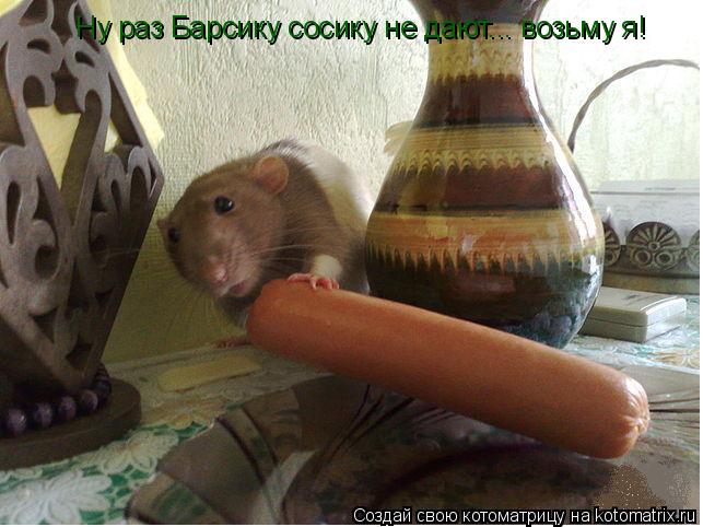 Ну раз Барсику сосику не дают... возьму я!... Котоматрица: Ну раз Барсику сосику не дают... возьму я!