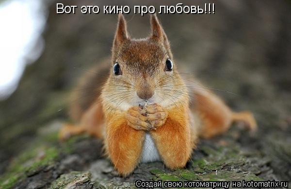 Вот это кино про любовь!!!... Котоматрица: Вот это кино про любовь!!!