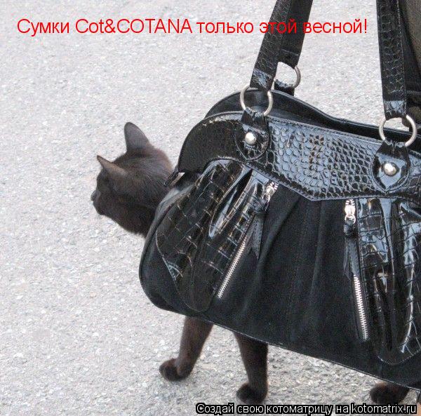 Сумки Сot&COTANA только этой весной!... Котоматрица: Сумки Сot&COTANA только этой весной!