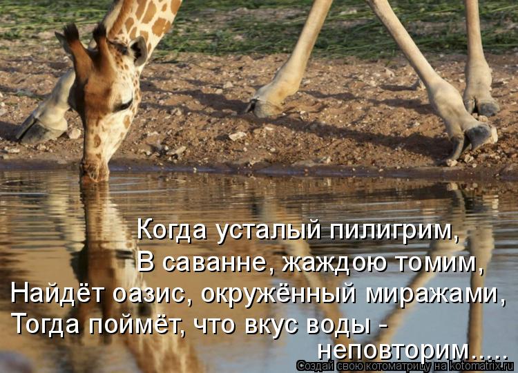 Когда усталый пилигрим, В саванне, жаждою томим, Тогда поймёт, что вкус воды - неповторим..... Найдёт... Котоматрица: Когда усталый пилигрим, В саванне, жаждою томим, Тогда поймёт, что вкус воды - неповторим..... Найдёт оазис, окружённый миражами,