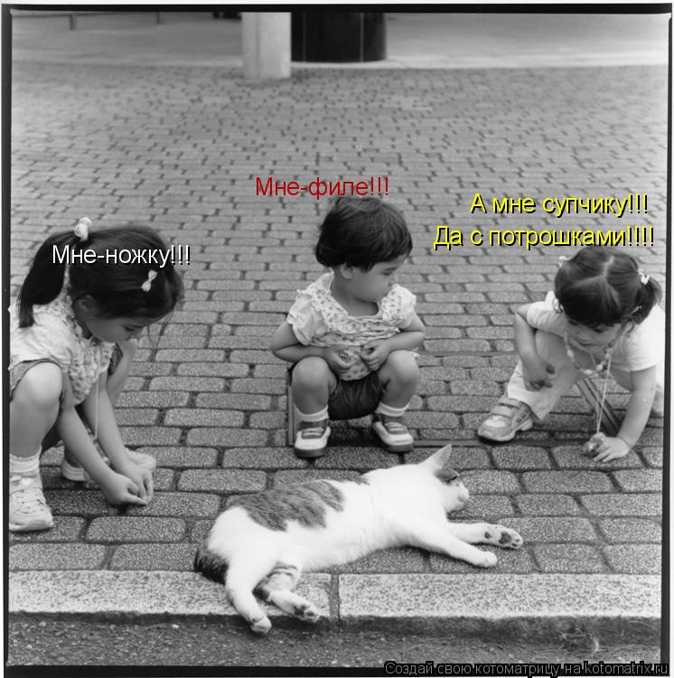 Мне-ножку!!! Мне-филе!!! А мне супчику!!! Да с потрошками!!!!... Котоматрица: Мне-ножку!!! Мне-филе!!! А мне супчику!!! Да с потрошками!!!!