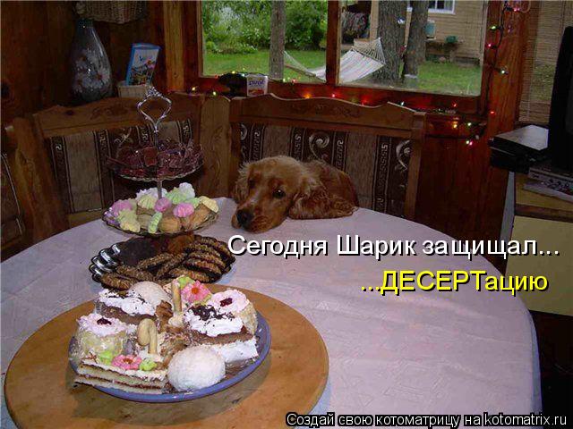 Сегодня Шарик защищал... ...ДЕСЕРТацию... Котоматрица: Сегодня Шарик защищал... ...ДЕСЕРТацию