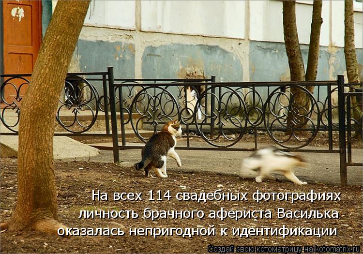 На всех 114 свадебных фотографиях личность брачного афериста Василька оказалась непригодной к идентиф... Котоматрица: На всех 114 свадебных фотографиях личность брачного афериста Василька оказалась непригодной к идентификации
