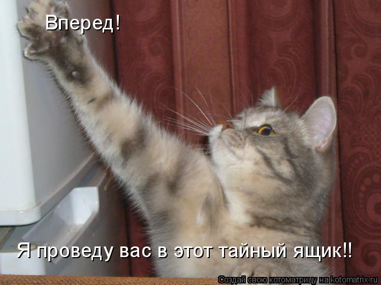 Вперед! Я проведу вас в этот тайный ящик!!... Котоматрица: Вперед! Я проведу вас в этот тайный ящик!!