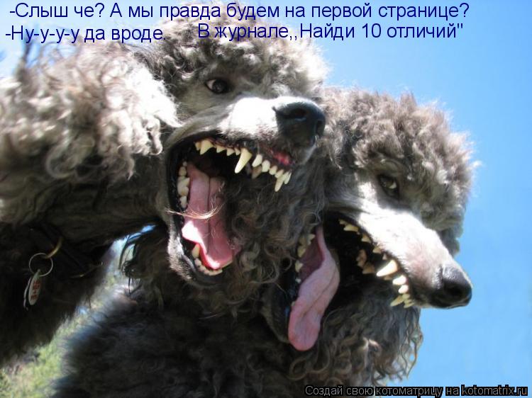 -Слыш че? А мы правда будем на первой странице? -Ну-у-у-у да вроде. В журнале,,Найди 10 отличий"... Котоматрица: -Слыш че? А мы правда будем на первой странице? -Ну-у-у-у да вроде. В журнале,,Найди 10 отличий"