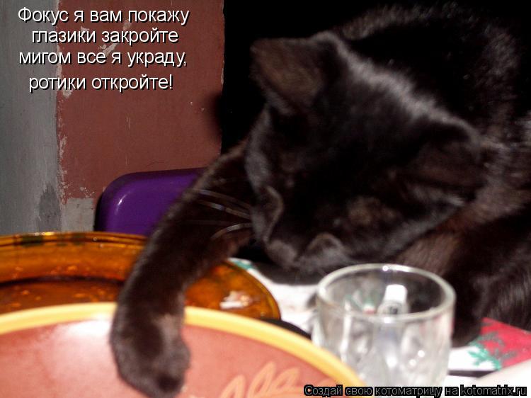 Фокус я вам покажу глазики закройте мигом все я украду, ротики откройте!... Котоматрица: Фокус я вам покажу глазики закройте мигом все я украду, ротики откройте!