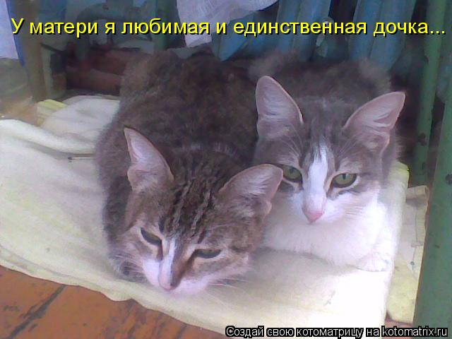 У матери я любимая и единственная дочка...... Котоматрица: У матери я любимая и единственная дочка...